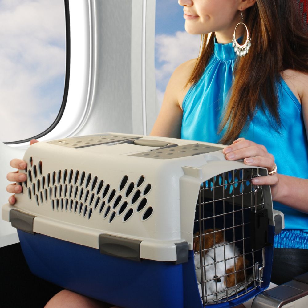 A woman travelling with pet in carrier