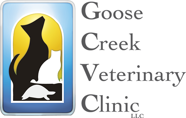 goose creek vet clinic